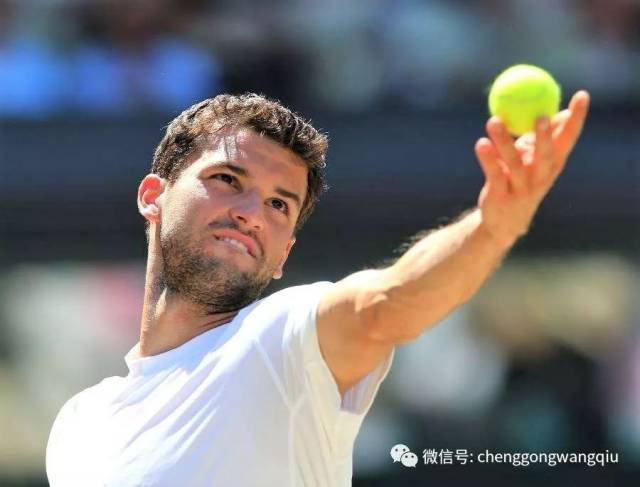 能取代德赫 能取代德赫