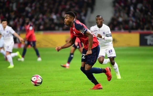 直接导致了 直接导致了